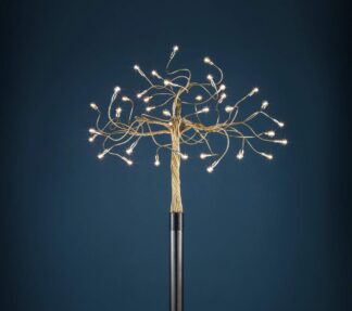 Albero della Luce